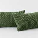 Kevin Textile Spring Throw Pillow Covers Soft Corduroy Decorative Set of 2 Boho Striped Pillow Covers Pillowcases Farmhouse Home Decor for Couch Bed Sofa Living Room 12x20 Inch Moss Green