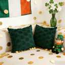 2 x 3Sizes 2 Pack 16"*16" St Patricks Day Pillow Covers St Patricks Day Decorations Green Shamrock Soft Plush Faux Fur Jacquard Throw Pillows for Bedroom Sofa Holiday Festivals Home Decor