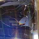 TCL 75 Inch Class T7 Series | 4K QLED HDR | 75T7, 2025 Model | 120HZ-144HZ High Brightness Smart Google TV Dolby Atmos Audio | Voice Remote Alexa Gaming Streaming Television