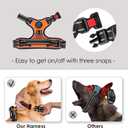 PHOEPET Reflective Dog Harness Large Breed Adjustable No Pull Vest with with Handle 2 Metal Rings 3 Buckles [Easy to Put on & Take Off] (L, Orange)