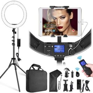 LED Ring Light with Stand and Phone/iPad Holder, 19 Inch 60W Bicolor 3000K-5800K Large Circle Light with Remote Controller for Photography/YouTube Video/Self-Portrait Shooting/Live-Stream