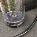 Nespresso Festive Vertuo Pop+ Coffee and Espresso Maker by Breville, Matte Black Gold. BBD 31/03/2026