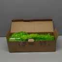 [Timer & 8 Modes] 3Feet Christmas Tree Lime Green, Small Christmas Tree with Lights for Indoor Home Living Room Office Holiday Decor, Green Xmas Tree with Star Topper