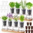 Teenyyou 8 Pcs Hydroponic Herb Planter Growing Kit Self Watering Glass Vase with Wooden Stand Herb Garden Starter Kit for Propagating Hydroponic Plants Centerpiece Office Home Garden Decor