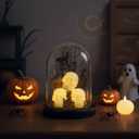 Halloween Decorations Indoor, Lighted Skull in Plastic Dome Cloche with Bat, Gothic Decor Cute Spooky Halloween Ghost Decor for Tabletop Mantel Display