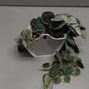 Briful Faux Hanging Plants Indoor 17'' Artificial String of Heart Plants with Semicircle Wall Mount Planter Faux Draping Vine Plants for Home Office Bathroom Hanging Decor (Green White)