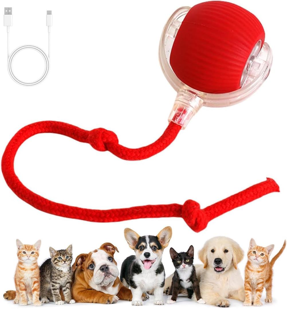 Interactive self rolling toy ball for cats/dogs 360 Smart Automatic Rolling Ball Toy Electric Dog Balls for Dog/Cat (Red/Green/Gray)