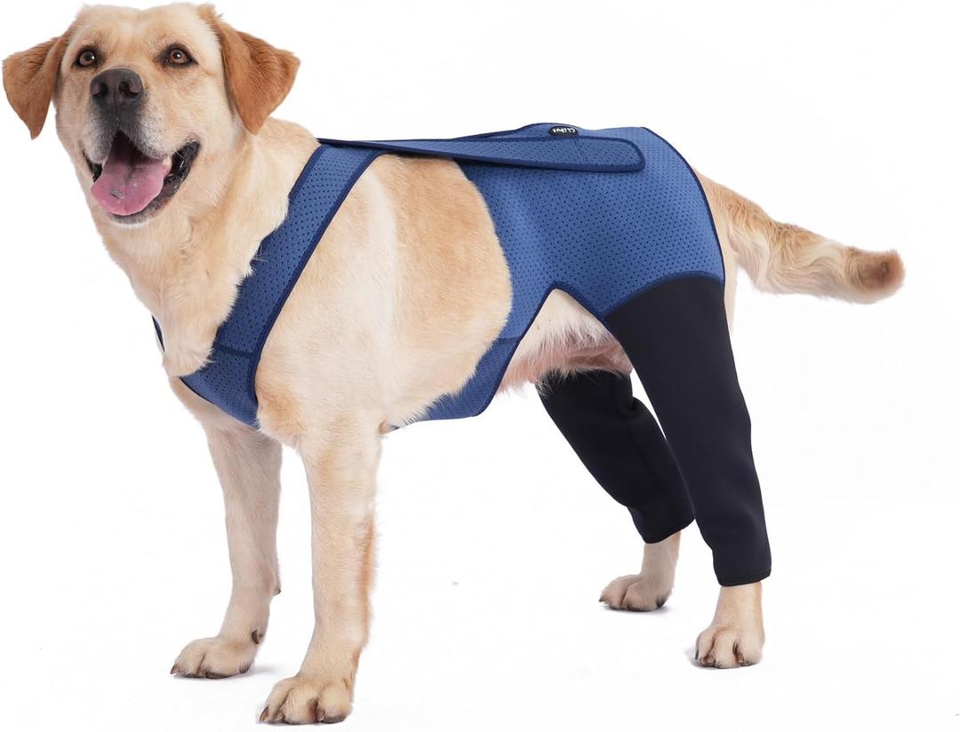 Dog Hind Leg Recovery Sleeve Dog Recovery Suit as Cone Collar Alternative, 2.5mm Thick and Waterproof, Prevent Pet Wounds Licking, Biting (XLarge)