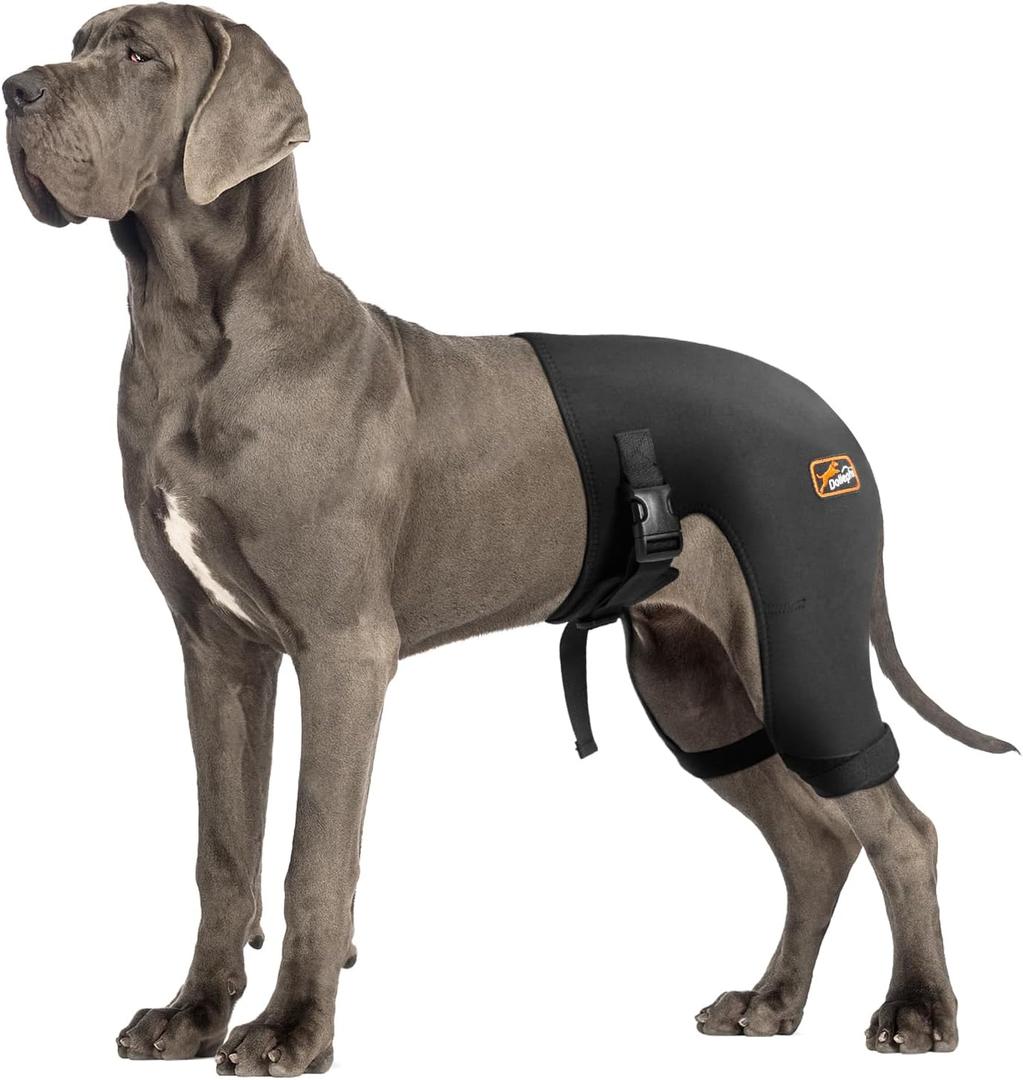 Dog Hip Brace with Hot/Cold Compress, Support for Hip Dysplasia, Arthritis, Back Leg limping, Prevents Hip Joint Issues, Reduce Hip Pain etc(Female Dog, XXL) (Extra Extra Large)