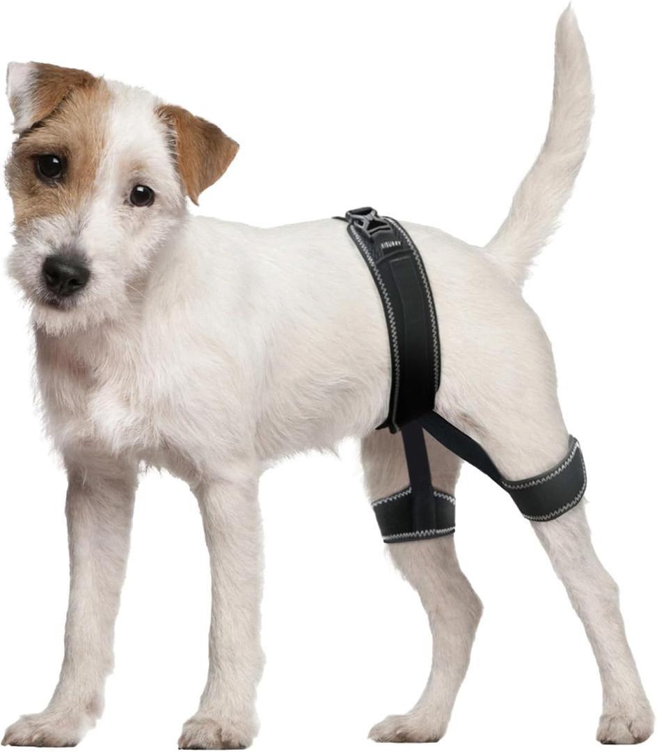 CHAMIN Dog Hip Orthotics Brace, Dog Hip Dysplasia Brace Harness, Support for Hip Dysplasia, Luxating Patella, Prevent Hip Joint Diseases and Assisted orthopedics, et(Medium)