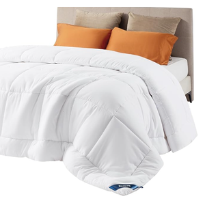 Bedsure Comforter Duvet Insert - Quilted Comforters Queen Size, All Season Duvet, GentleSoft Down Alternative Bedding, with 8 Tabs, Gifts for Women/Men, White, Queen 84 x 84 Inches 