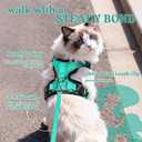 rabbitgoo Cat Harness and Leash for Walking, Escape Proof Soft Adjustable Vest Harnesses for Cats, Easy Control Breathable Reflective Strips Jacket, Emerald, M
