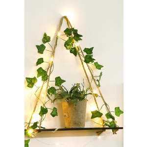 Hanging Shelf Wall With Plants Decor Lights 16,5x6