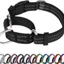 Martingale Dog Collar, Adjustable Nylon Reflective Collar with Quick Release Buckle (Black, Extra Large)