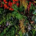 Jdayda Green Leaf Wallpaper Mural Tropical Botanical Leaves Wall Murals for Bedroom Living Room (Not Self-Adhesive)