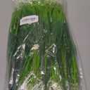 Ivydale 20PCS Artificial Plants Fake Flowers Monkey Grass for Outdoors,UV Resistant Realistic White Faux Greenery Shrubs Outside Decor for Home Garland Porch Patio Balcony Planter Yard Office Pathway