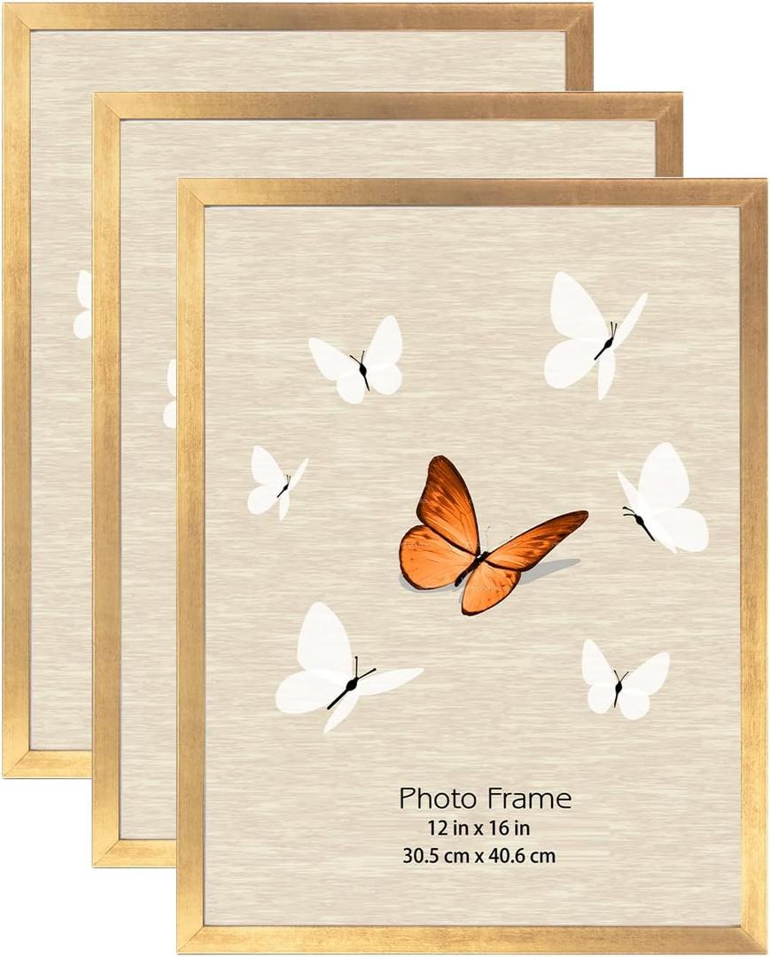 12x16 Picture Frame Gold 3 Pack, Poster Frames 12 x 16 without Mat for Wall, Horizontal or Vertical Wall Mounting