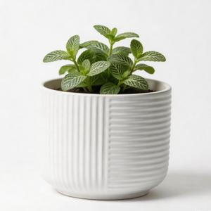 maryeadecoor Ceramic Plant Pots with Drainage Holes 9" - Creamy White Planters for Indoor Outdoor Plants - L (Large-9)