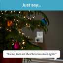 Legrand Radiant Wi-Fi Matter Smart Plug Matter Hub Required 15A, Easy Setup, Enhanced Compatibility with Apple HomeKit, Google Home, Alexa & SmartThings, Easy Wi-Fi Connectivity w/ Matter (1 Pack)