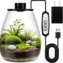 Maxdot Glass Plant Terrarium Kit with Light for Succulent, Moss, Miniature Gardening Landscape, Betta Fish Tank, Office Home Decoration, Plant Lovers Gifts (6.9 x 7.8 Inch)