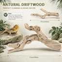 Natural Large Driftwood for Aquarium, 2 Pieces 10-12" and 16-20" King Root Branches for Reptile Bearded Dragon Lizard Gecko Climbing, Fish Tank Landscaping Decorations