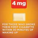 Amazon Basic Care Nicotine Polacrilex Coated Gum 4 mg (nicotine), Cinnamon Flavor, Stop Smoking Aid, Quit Smoking, Reduces Nicotine Cravings, 160 Count