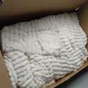 BEDELITE Fleece Oversized Queen Comforter Set -Super Soft & Warm Fluffy Cream White Bedding, Luxury Fuzzy Heavy Bed Set for Winter with 2 Pillow Cases