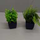 Der Rose Fake Plants 2 Pack Small Artificial Plants in Blue Pots Faux Plants Indoor for Home Room Bathroom Living Room Decor