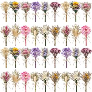 36 PCS Charming Dried Flowers Bouquet for Vase Various Dried Wildflowers with Stems Mini Handmade Wildflowers Natural Real Flowers Bulk Flowers for Crafts DIY Wedding Decor (Various Series)