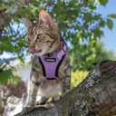 rabbitgoo Cat Harness and Leash for Walking, Escape Proof Soft Adjustable Vest Harnesses for Cats, Easy Control Breathable Reflective Strips Jacket, Light Purple, XS