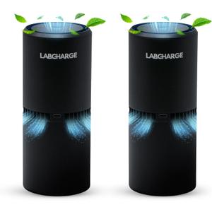 LabCharge Small Ionic Air Purifier for Home & Bedroom  Silent HEPA Filter  Covers 250 Sq Ft - Free Cleaner for Pets, Hair, Smoke, Dust, Odors & Dander  Compact & Black Design - Pack of 2
