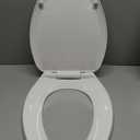 American Standard 5503A00B.020 Transitional Elongated Toilet Seat Soft Close, White