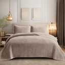 SHALALA Velvet Quilt Queen Size,Striped Bedding Set,Lightweight Velvet Comforter,Luxurious Suede Bedspread and Coverlet with Soft Brushed Microfiber Back for All Season(Light Taupe,Full/Queen)