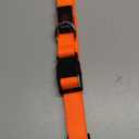 Light Up Dog Collar, Rechargeable USB Collar, Waterproof, Luminous LED Collar, Adjustable, Super Bright, Night Walking for Small Medium Large Dogs, Orange, L