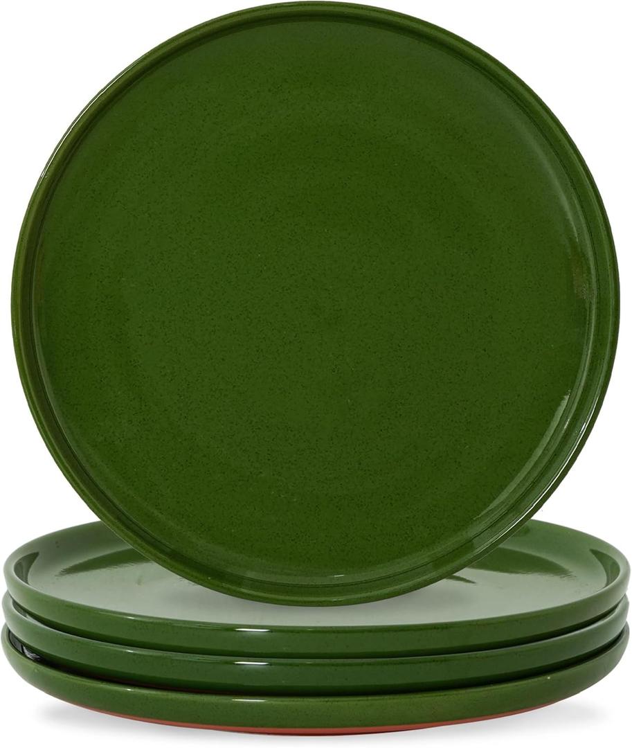 10.25-Inch Dinner Plates Set of 4, Dual Glaze Stoneware Plates, Microwave and Dishwasher Safe, Ceramic Plates for Everyday Dining, Forest Glaze Green