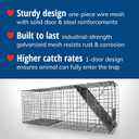 HAVAHART 1079SR Large 1-Door Humane Catch and Release Live Animal Trap Cage - Live Raccoon Trap, for Bobcats, Beavers, Dogs, & More