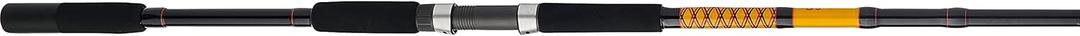 Ugly Stik Bigwater Spinning Fishing Rod (New Model)