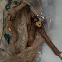 Mogoko 5PCS Bird Perch Natural Wood Grape Stick Stand, 3 Grape Stick Paw Grinding Fork Parakeet Chewing Stick 2 Parrot Stand Branch, Chewing Exercise Branches Bird Cage Accessories