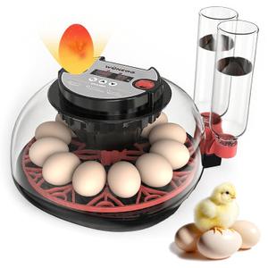 12 Egg Incubator for Hatching Eggs, Automatic Turner with Digital Temperature Humidity Control, 360 Clear View Lid, Auto Water Refill & Built-in Candler for Chicken Duck Quail Birds