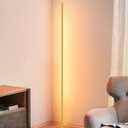 EDISHINE Floor Lamp, Remote Control & Foot Switch Floor Lamps for Living Room, 10%-100% Dimmable Standing Lamp with 7 Color Temperature, 57.5" Tall Corner Floor Lamp for Bedroom, Office, Gold