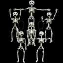 6 PCS 16 Inch Pumpkin Head Mini Small Little Tiny Halloween Skeleton Pose-N-Stay Full Body Posable Movable Jonints, Skeleton Plastic Bones, for Halloween Decoration Indoor Outdoor Decor