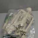 CAMIRUS 2PACK 36" Skeleton Halloween Decorations, 3ft Life Full Size Skeleton with Realistic Posable Movable Joints for Halloween Haunted Houses, Lawn, Graveyard