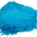 Sowder 50pcs Natural 8-10inch(20-25cm) Ostrich Feathers Home Wedding Decoration(Turquoise)