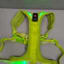 ChalkLit Light Up Dog Harness, No Pull Led Dog Harness Glow-in-The-Dark for Night Walking, USB Rechargeable Lighted Safety Vest for Dogs, Adjustable Soft Mesh Fully Illuminated(Green, L)