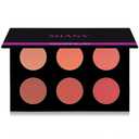 SHANY Shimmer & Matte Warm-Toned Blush Palette - Layer 6 - Refill for the 6 Layer Mini Masterpiece Collection Makeup Set (6.5 x 4.5 x 0.5 Inch)
