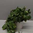 MY ROVALA Silk Plants for Home Decor Indoor in Pot Realistic Artificial Plants Hanging Faux Plants Indoor Fake Potted Plants for Shelves Bedroom Bathroom Trailing Plant, Fake Pothos Ivy (Dark Green)