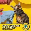 Temptations Wacky Blasts Cat Treats, Nautical 'Nip Flavor, 16 oz | Salmon, shrimp & catnip flavor bits, crunchy outside/soft inside, under 2 cal per treat, 100% complete nutrition, resealable (EXP 11/30/27)