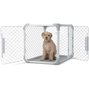 DIGGS Evolv Dog Crate - Slim, Durable Dog Kennel with Removable Ceiling Panel and Modular Design - Safe, Stylish, and Convenient (Ash, Intermediate)