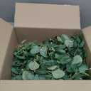 6'L Fake Greenery Garlands Artificial Silver Dollar Eucalyptus Garland in Grey Green and Willow Twigs Garland Intertwined Together for Rustic Wedding Arch Swag Doorways Table Runner Decoration