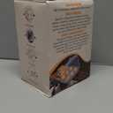 2 Pieces 2 Grid Egg Carton Camping Plastic Portable Egg Box Container for Refrigerator Storage Crisper Holder Carriage Tray